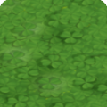 Clover Icon.png